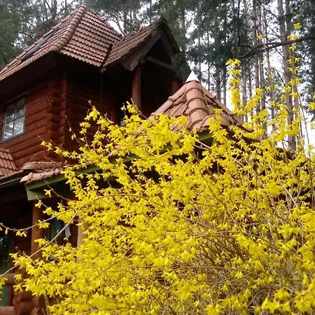 Villa Georgia Aardla Exterior photo